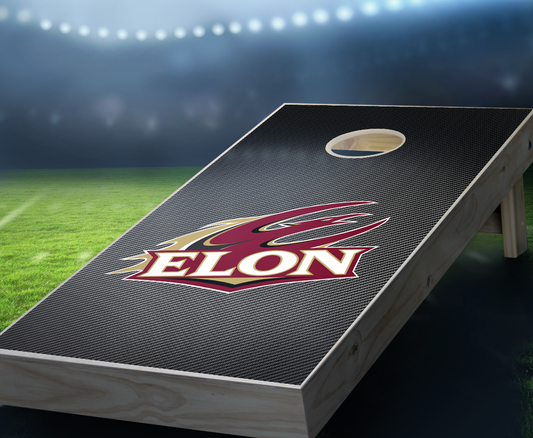 "Elon Slanted" Cornhole Boards